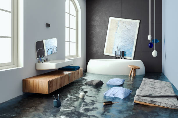 Best Ceiling water damage repair  in Rushford, MN