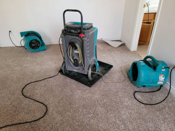 Best Water damage restoration near me  in Rushford, MN