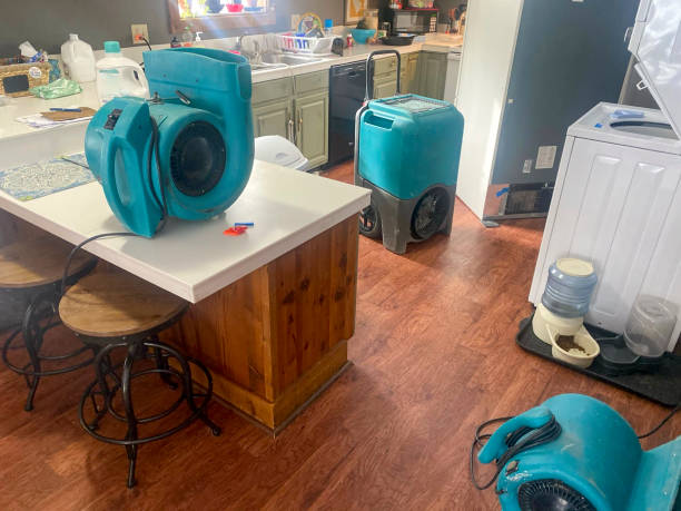 Best Residential water damage restoration  in Rushford, MN