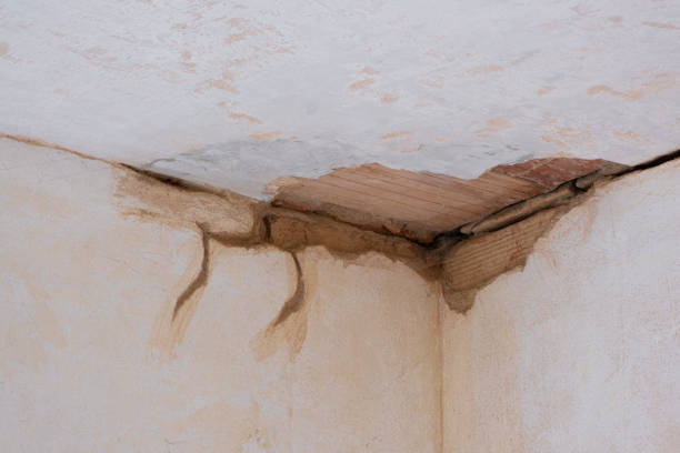 Best Sewage cleanup and water damage restoration  in Rushford, MN