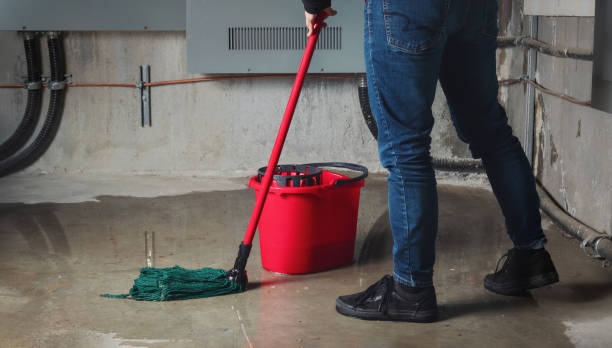 Best Water damage cleanup near me  in Rushford, MN